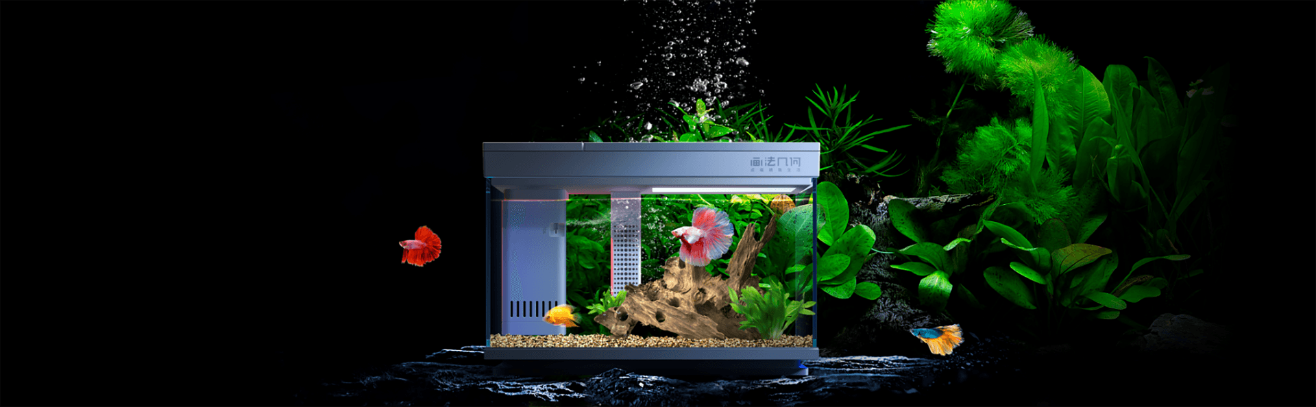 “芯”智能鱼缸，画法几何以智能科技为核心，打造极致养鱼体验